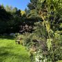 PowellsWood Garden