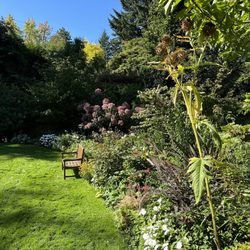 PowellsWood Garden