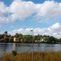 Florida International University - Dragon fly
