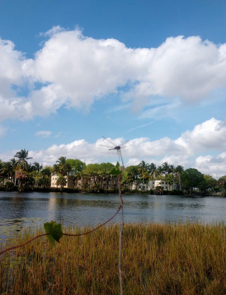 Florida intelligence overview