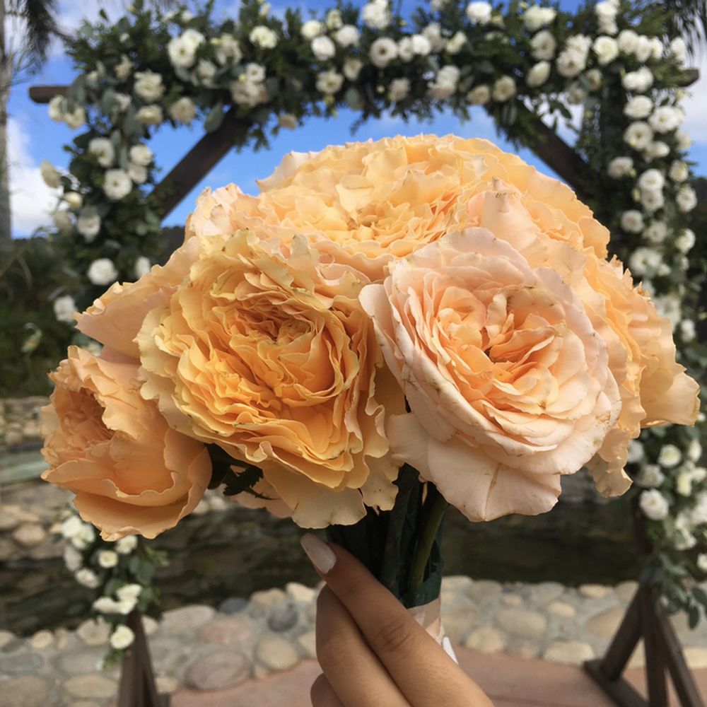 Toshi Flowers Watsonville Best Flower Site