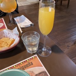 Mimosa Mimosa