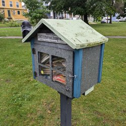 Little Free Library - Little Free Library 1746, Oswego