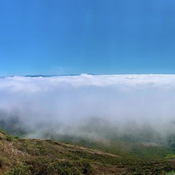 Hill 88 - Karl The Fog - Hiking Near Me - Mill Valley, California