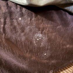 Quality Inn & Suites - Vomit ? On the side of bed. Clearly visible. Gross.