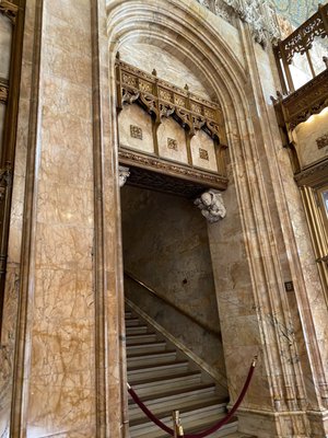 The Woolworth Building by null