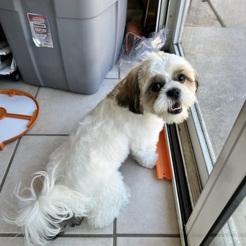 Luxe Mobile Pet Grooming - Pet Groomers Near Me - San Diego, California Luxe Mobile Pet Grooming - Pet Groomers Near Me - San Diego, California