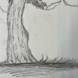 Graphite study by a 14 years old