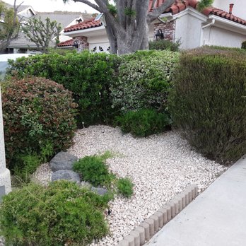 Green Cactus Landscapes - CA gold rock - Landscaping Near Me
