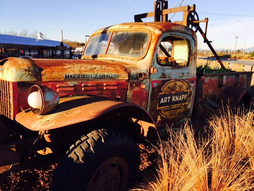 ART KNAPP PLANTLAND Updated October 2024 64 Photos & 14 Reviews