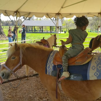 Randall Oaks Zoo - Pony ride - Zoos Near Me - West Dundee, Illinois Randall Oaks Zoo - Pony ride - Zoos Near Me - West Dundee, Illinois