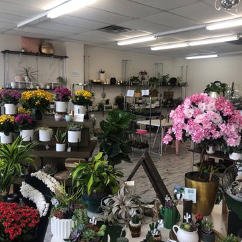 Succulent Native - Nurseries & Gardening Near Me - Austin, Texas
