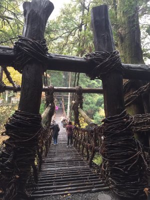 Iya Valley Bridge by null