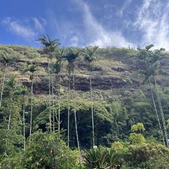 Toa Luau - Waimea Valley - Cultural Center Near Me - Haleiwa, Hawaii