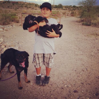 Santa Cruz River Walk Path - Azucar is tired lol " carry me!" Nikita prob. Wants to be carried too haha but she is too big - Parks Near Me - Tucson, Arizona Santa Cruz River Walk Path - Azucar is tired lol " carry me!" Nikita prob. Wants to be carried too haha but she is too big - Parks Near Me - Tucson, Arizona