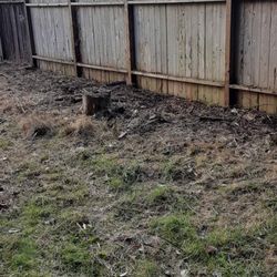 A&K Lawn & Tree Care - After