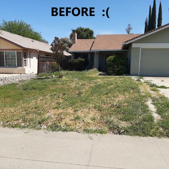 TLC Landscape Services - Before - front yard - Landscaping Near Me TLC Landscape Services - Before - front yard - Landscaping Near Me