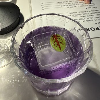 Oasis The Listening Bar - Purple Town - Bars Near Me - Arlington, Virginia