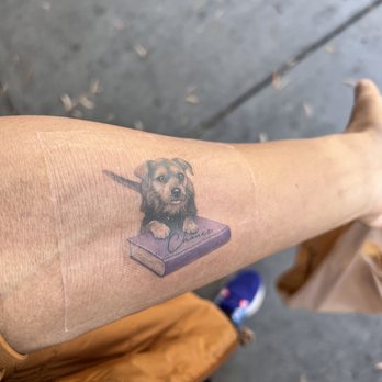 Paw Tattoo - Same day as I got the tattoo, transparent bandage still on. - Tattoo Near Me - San Mateo, California Paw Tattoo - Same day as I got the tattoo, transparent bandage still on. - Tattoo Near Me - San Mateo, California