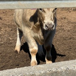 Mills Family Farm