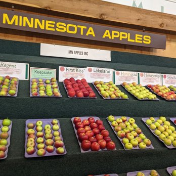 Minnesota State Fair - Festivals Near Me - Saint Paul, Minnesota Minnesota State Fair - Festivals Near Me - Saint Paul, Minnesota