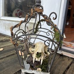 Oddities and Antiques - Atriums locally and ethically made