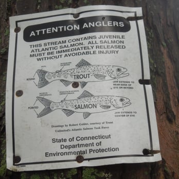 Farmington River Watershed Association - Rafting/Kayaking Near Me - Simsbury, Connecticut
