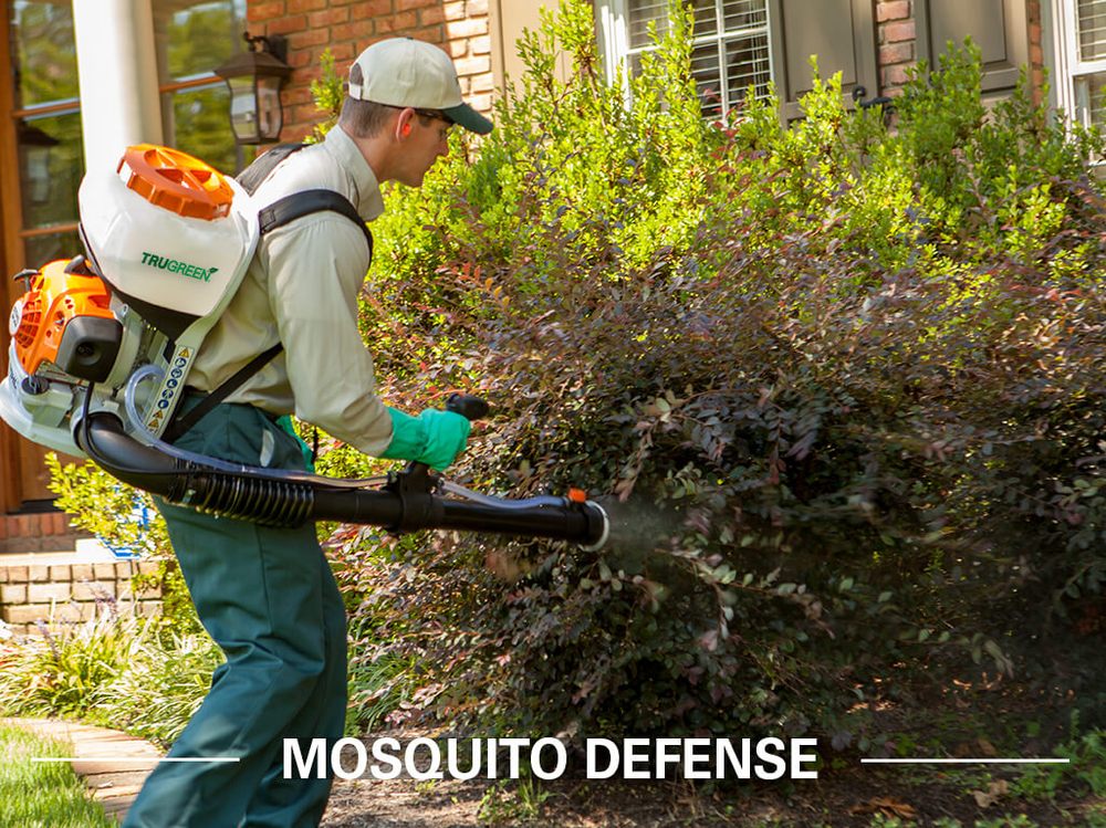 TruGreen Lawn Care - tree service in Albany, NY