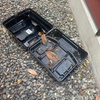 EcoShield Pest Solutions - Pest Control Near Me - Tukwila, Washington EcoShield Pest Solutions - Pest Control Near Me - Tukwila, Washington