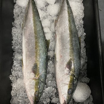Pole2Plate - Fresh, sustainably caught, local Yellowtail - Seafood Markets Near Me Pole2Plate - Fresh, sustainably caught, local Yellowtail - Seafood Markets Near Me