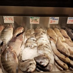 Rainbow Fish Market