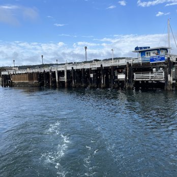 Discovery Whale Watch - The view from the stern heading out. - Whale Watching Tours Near Me - Monterey, California