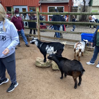 Blakelys Baryard Bonanza - Petting Zoos Near Me - Cincinnati, Ohio