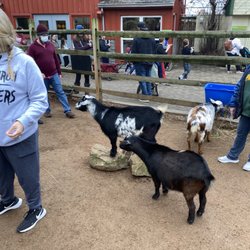Blakelys Baryard Bonanza