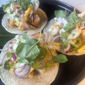 Sushi Rose - Shrimp tacos - Sushi Bars Near Me - Winston-Salem, North Carolina Sushi Rose - Shrimp tacos - Sushi Bars Near Me - Winston-Salem, North Carolina