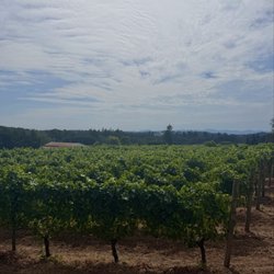 Styring Vineyards
