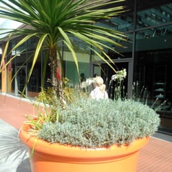 Centre Commercial Ruban Bleu - Blumen in der Passage,