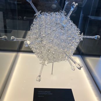 Micropia - Adenovirus (common cold) sculpture. - Museums Near Me - Amsterdam, New Hampshire Micropia - Adenovirus (common cold) sculpture. - Museums Near Me - Amsterdam, New Hampshire