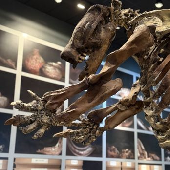 Western Science Center - Museums Near Me - Hemet, California Western Science Center - Museums Near Me - Hemet, California