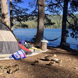Philbrook Lake Campground - The perfect spot, just perfect. And ducklings!!