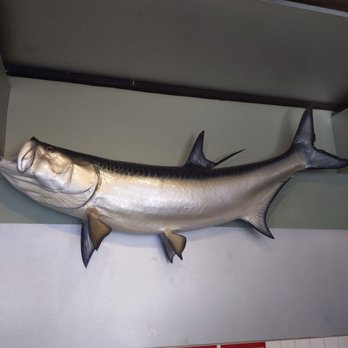 Flying Fish - The great Tarpon! Once ruled the waters from Mexico to Key West almost hit extenction but they are comming back with catch and release. - Seafood Near Me - Dallas, Texas Flying Fish - The great Tarpon! Once ruled the waters from Mexico to Key West almost hit extenction but they are comming back with catch and release. - Seafood Near Me - Dallas, Texas