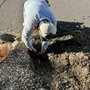 Photo of RM Landscaping