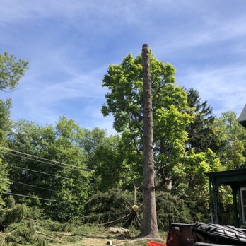 Northmen Excavating & Tree Service - Tree Services Near Me Northmen Excavating & Tree Service - Tree Services Near Me