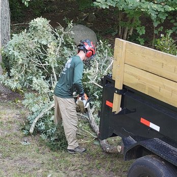 Cedar Stone Tree Works - Tree Services Near Me Cedar Stone Tree Works - Tree Services Near Me
