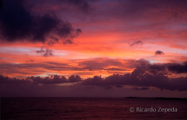 Hale Kai Hawaii Suites - Oceanfront Hilo Lodging by null