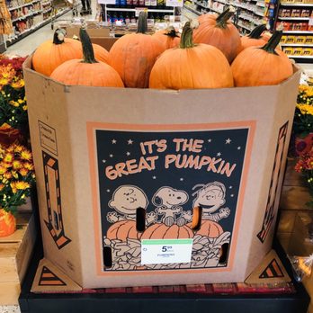 Publix - Interior Pumpkin Patch, 9.10.2020. - Grocery Near Me - Atlanta, Georgia Publix - Interior Pumpkin Patch, 9.10.2020. - Grocery Near Me - Atlanta, Georgia