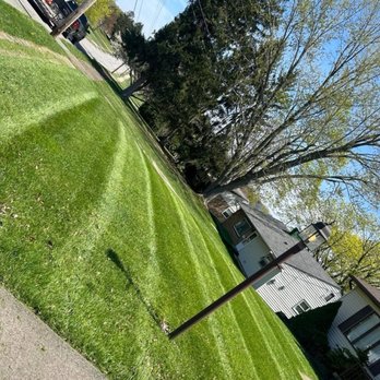 Dylan Thomas - Lawn Services Near Me - New Castle, Pennsylvania Dylan Thomas - Lawn Services Near Me - New Castle, Pennsylvania