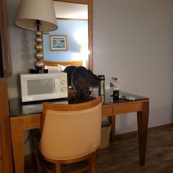 Night Inn - Microwave, mini fridge, hair dryer all in room with no special requests needed. - Hotels Near Me - Sweet Springs, Missouri Night Inn - Microwave, mini fridge, hair dryer all in room with no special requests needed. - Hotels Near Me - Sweet Springs, Missouri