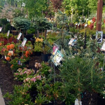 Sargent's Nursery - Nurseries & Gardening Near Me - Red Wing, Minnesota
