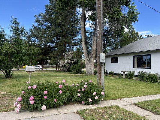Spring Maintenance? We've got you Spring Maintenance? We've got you